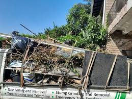 Best Residential Junk Removal  in Cleveland, AL